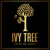 IVY TREE