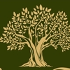 OLIVE TREE