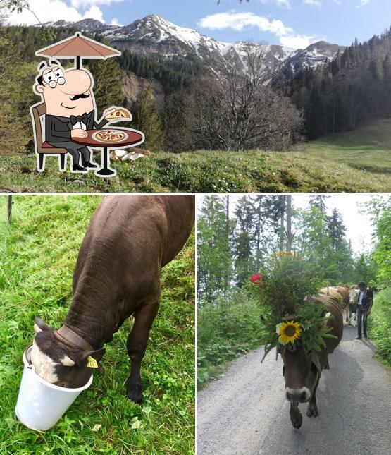 Gli esterni di Alpbeizli Langenegg