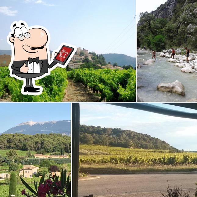 Bar & Restaurant le Dandelion