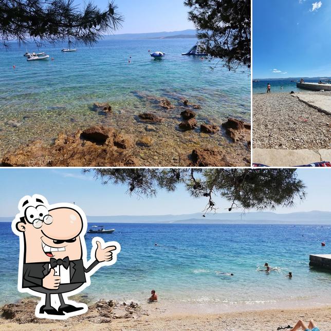 Vedi questa immagine di Hakuna Matata Beach Bar