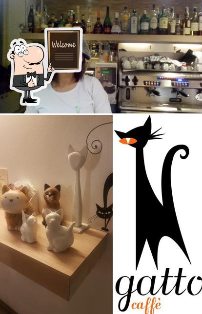 Vedi questa immagine di Gatto Caffé