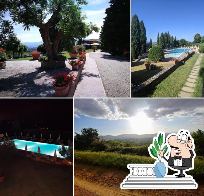 Fattoria degli Usignoli