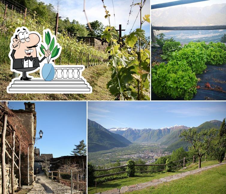 Guarda gli esterni di La Cantina Di Tappia