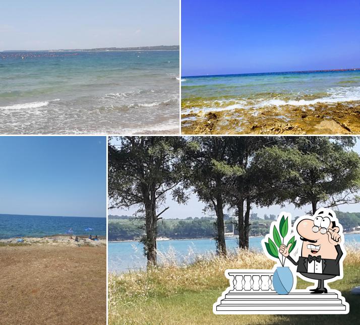 Puoi goderti l'aria fresca dal dehors di Caffe bar FELIXI