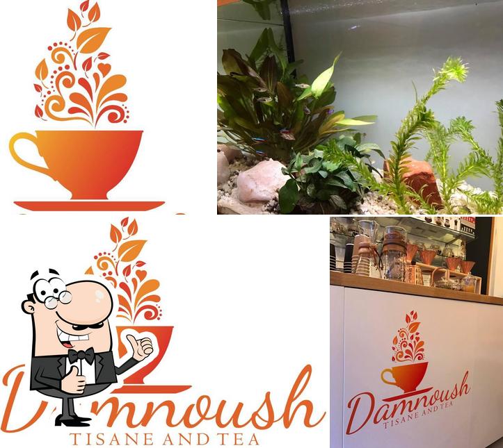 Ecco un'immagine di Damnoush - Tisane, Tea & Coffee Bio