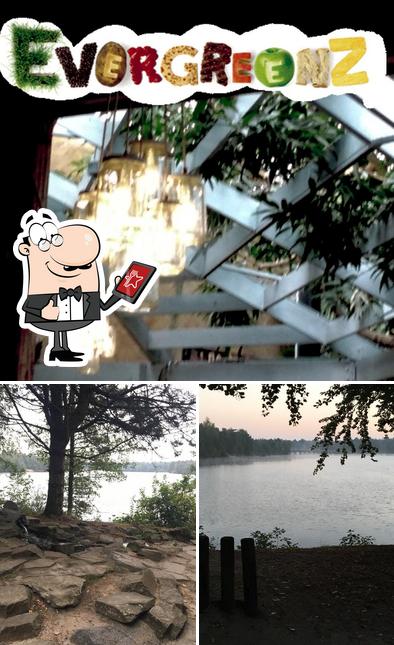 L'extérieur de Evergreenz
