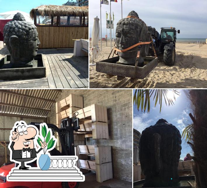 Playa Tropical Beach Bar