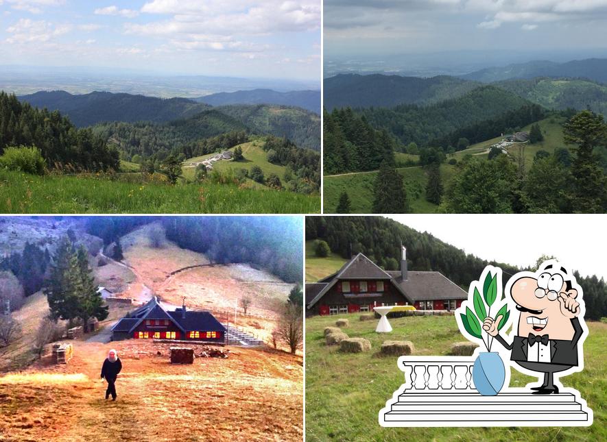 Almgaststätte Kälbelescheuer