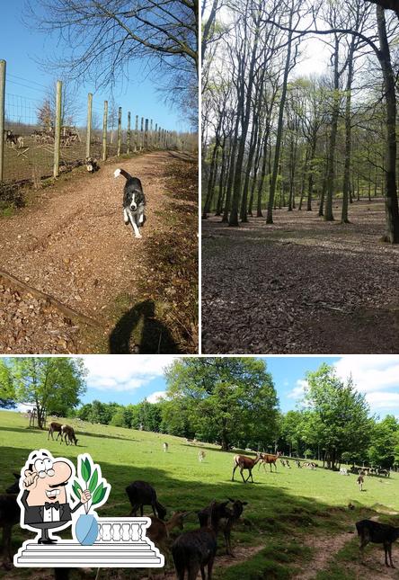 L'extérieur de Anita Schmitt Gasthaus zum Wildpark