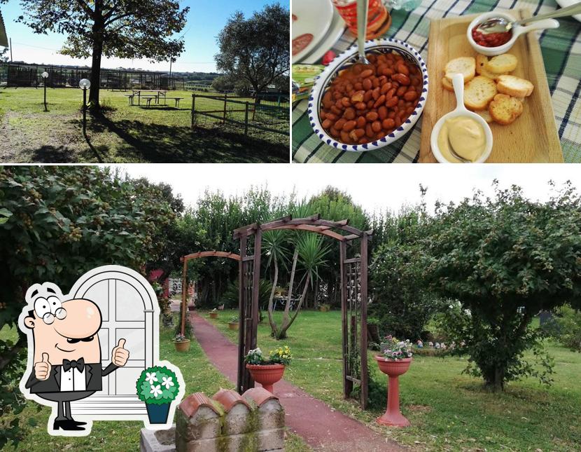 La immagine di esterno e cibo da Agriturismo Il Casale Bicocca