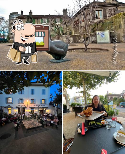 Guarda gli esterni di Le Canard Intelligent