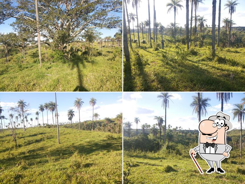 Bar E Lanchonete Point