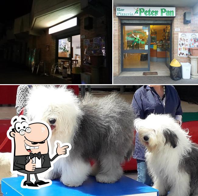 Foto di Bar Pizzeria Peter Pan