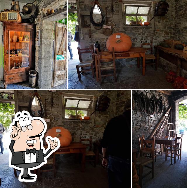 Dai un'occhiata agli interni di Frasca Coceancigh