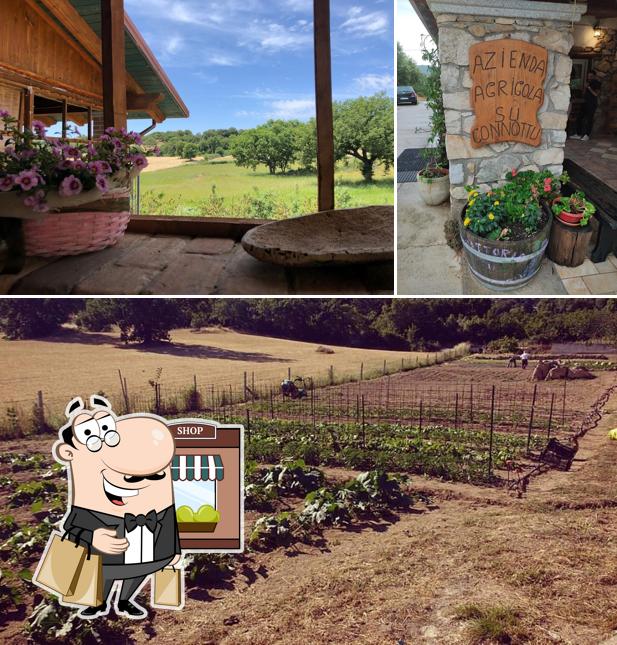 Puoi goderti l'aria fresca da seduto all'esterno di Agriturismo "Su connottu"