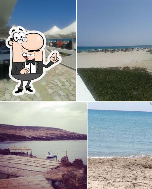 Le Pêcheur Haouaria