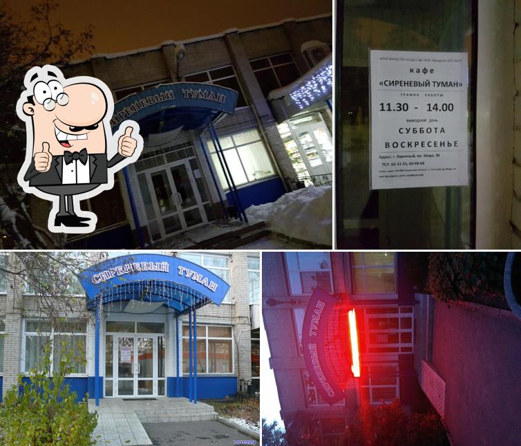 Сиреневый туман