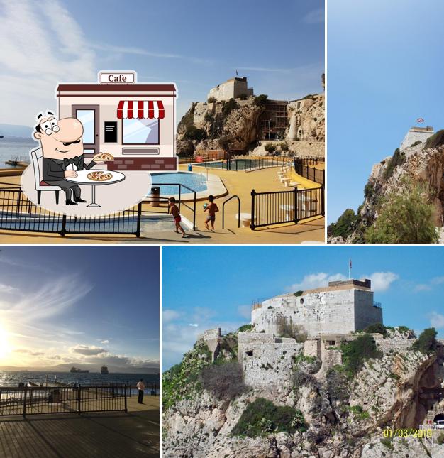 The Dolphin Restaurant