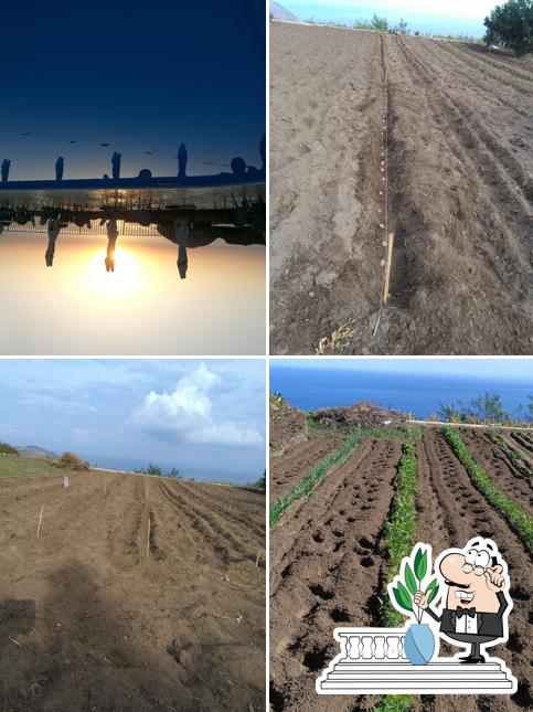 Ristorante Pizzeria I Tre Delfini