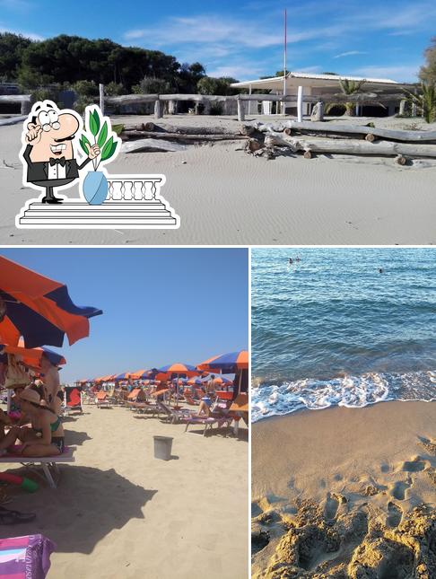 Guarda gli esterni di Lido Holiday