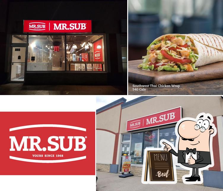 Regarder l'image de Mr.Sub