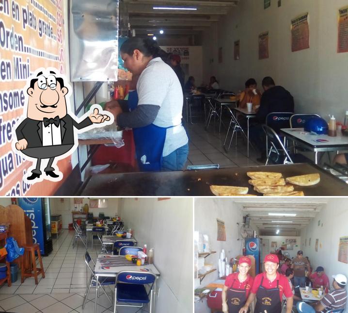 Tacos de Barbacoa El Tapatío, Ciudad Guzmán Opiniones del restaurante