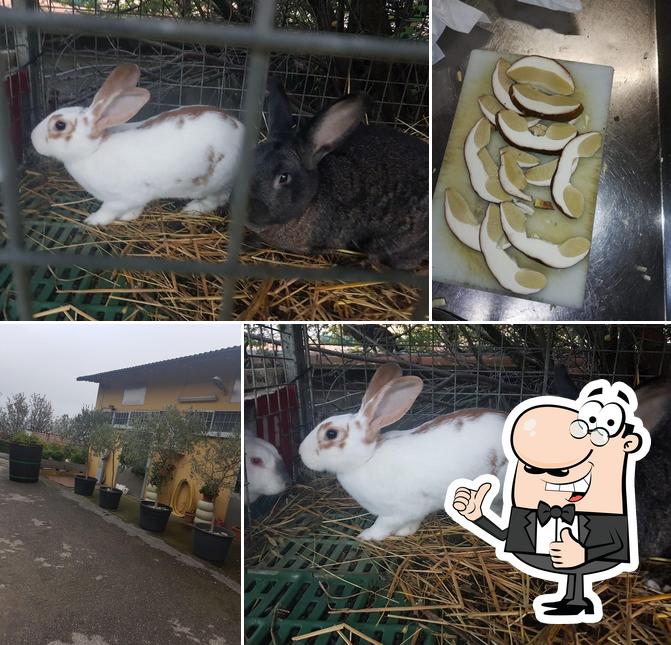 TRATTORIA GIULIA 2 srls