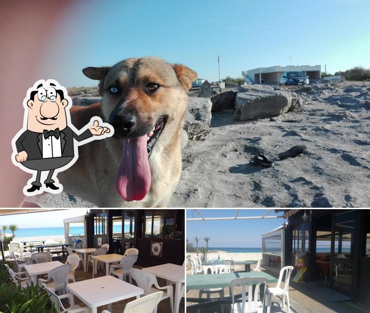 La foto della interni e esterno di Sfizi di Mare