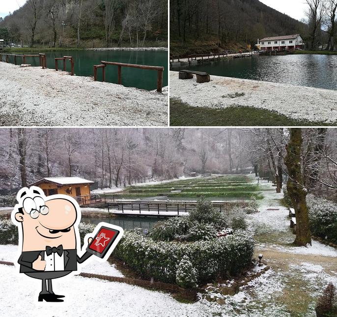 Genießt die Aussicht außerhalb von Troticoltura Le Vene Alle Sorgenti Fiume Esino