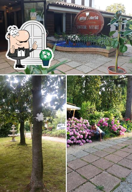 Gli esterni di Antica Osteria Ester Muri