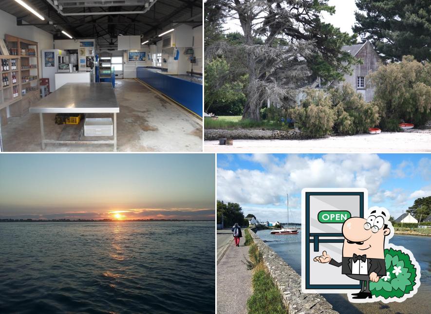 Les Viviers de Loc'ker