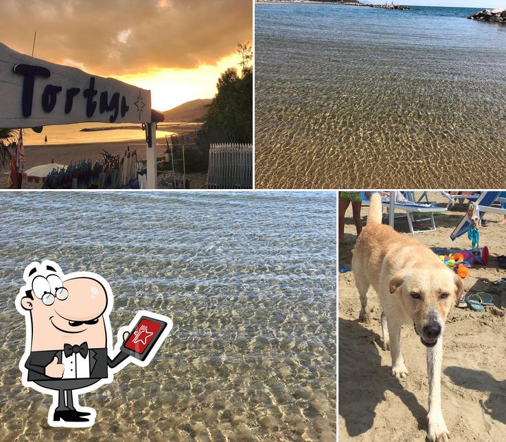 Guarda gli esterni di Tortuga