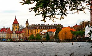 Best foods you can find in Lausanne, Switzerland