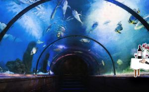 10 Unusual Restaurants in the World for Your List of Ideas