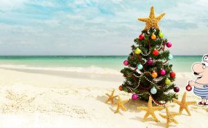 Incredible places to spend Christmas on the Beach
