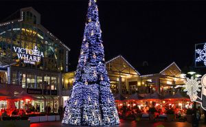 Where to Enjoy Christmas Dinner in Cape Town (2026 Guide)