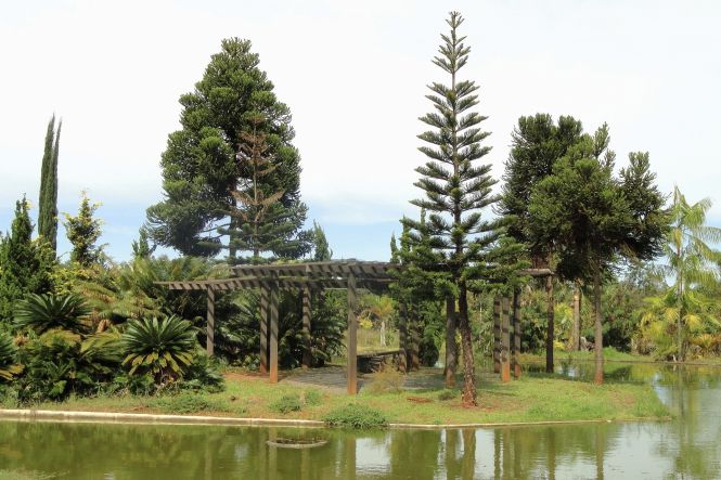 Brasilia Botanical Garden