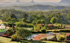 Step into creative Maleny in the heart of rural Australia