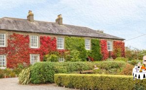 Make for a culinary weekend getaway in Dungarvan, Ireland