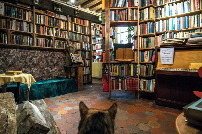 Intérieur de la boutique Shakespeare and Company. Source : facebook.com/shakespeareandcoparis