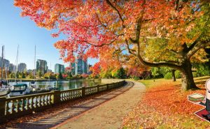 Culinary diversity in Vancouver, Canada – Top 6 restaurants to visit