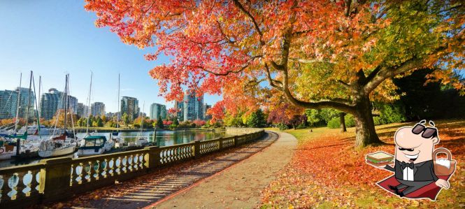 Culinary diversity in Vancouver, Canada – Top 6 restaurants to visit