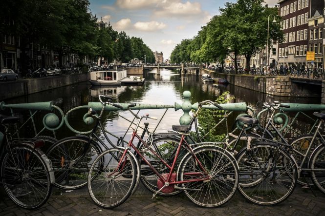 Une rangée de vélos. Photo de Jace & Afsoon sur Unsplash.