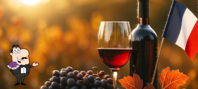 France’s best wine regions and where to try their wines in 2025