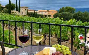 Wineries and country restaurants in the Luberon region, France
