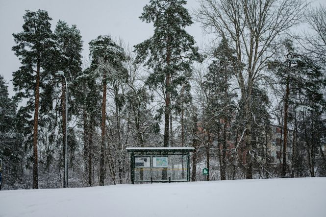 Snow-covered trees surround a glass bus stop shelter in Stockholm, Sweden. Photo by Hanlin Sun on Unsplash