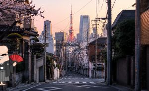 Weekend in Tokyo, Japan: Studio Ghibli magic, Japanese delicacies & more
