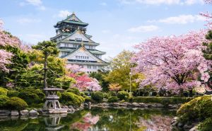 大阪でやりたいことトップ5＋周辺のおすすめレストラン