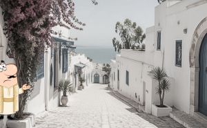 Life in Tunisia: The cons, how to deal with them, & top restaurants in Tunis